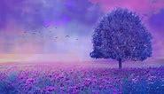 Beautiful landscape in purple flowers clouds - Live Wallpaper - Animated background wallpapers