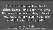 Proverbs 3:5-6 KJV Bible Verse - Trust Faith Scripture Christian Video