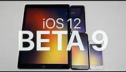 iOS 12 Beta 9 - What's New?