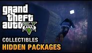 GTA 5 - Hidden Packages / Briefcases Location Guide