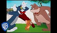 Tom & Jerry | Best Buddies 🐭🐱🐶 | Classic Cartoon Compilation | WB Kids