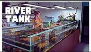 INCREDIBLE 1000L Sloped River Tank at Atlas Aquariums!