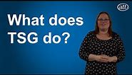 What does the ATT Technical Steering Group do?