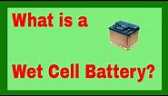 What is a Wet Cell Battery