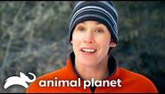 Revealing the Shocking Bigfoot Evidence from Game Camera Footage | Finding Bigfoot | Animal Planet
