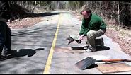 How to help a Snapping Turtle Cross the Road