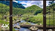 4K Cameron Highlands Creek Malaysia Window View - Serene, Relaxing, Nature Ambience, White Noise