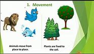 Class 3 Science - Differences between Plants and Animals