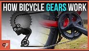 How Do Bicycle Gears Actually WORK?