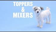 How to Get Your Dog to Eat Their Food With Dog Food Toppers | Chewy