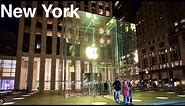 New York I Apple Fifth Av I Times Square Walking Tour [Revised Edition]