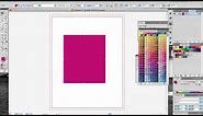 how to pick a pms color in illustrator.mov