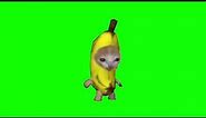 Running Banana Cat Meme Green Screen