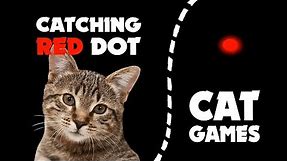 Catching RED DOT LASER for cats ★ CAT GAMES 1 hour