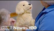 Robotic Pets Are Helping Dementia Patients (HBO)