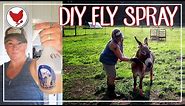 DIY FLY SPRAY | Keep the Flies off Your Animals!