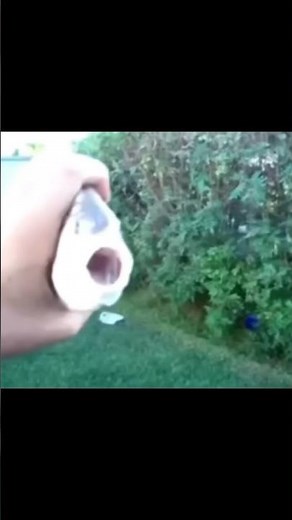 Killer fish from San Diego meme￼￼