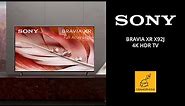 100" SCREEN!! Sony BRAVIA XR X92J 4K HDR TV