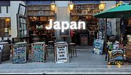 Walking in Japan - Streets of Restaurants in Akasaka Sacas, Tokyo