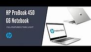 HP ProBook 450 G6 review