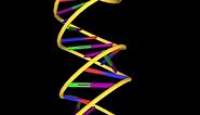 Double-helix structure of a DNA molecule
