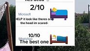🛌 - Person in Bed emoji rating #emojipediapage #fyp #rating #ratingemojis