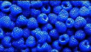 What Actually IS Blue Raspberry?