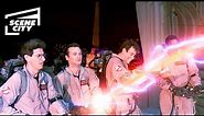 Ghostbusters: Fighting Gozer Ending Scene (Bill Murray, Dan Aykroyd, Ernie Hudson, Harold Ramis)