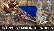 Solo Overnight Building a Trappers Cabin from The Landscape and Turkey Dinner