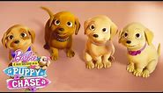 Meet the Puppies! | Barbie & Her Sisters in a Puppy Chase | @Barbie