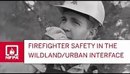 Firefighter Safety in the Wildland/Urban Interface