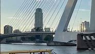 The best view of the famous Erasmus Berg bridge in Rotterdam
