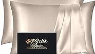 Silk Pillow Cases 2 Pack, Mulberry Silk Pillowcases Standard Set of 2, Smooth, Anti Acne, Beauty Sleep, Both Sides Natural Silk Satin Pillow Cases for Women 2 Pack with Zipper for Gift, Champagne