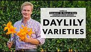 Daylily Varieties