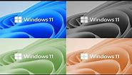 How to Apply Screen color filter in Windows 10/11