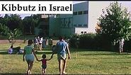 Kibbutz Daphna (1964) - agricultural community in 1960s Israel