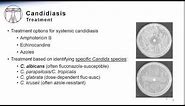 Candida: Systemic Candidiasis Treatment & Prevention