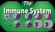 The Immune System Overview, Animation