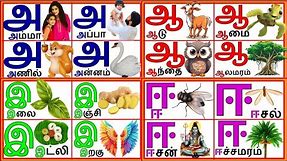 ஆ முதல் அக்கு வரை உள்ள வார்த்தைகள்/Words from a to ak tamil/தமிழ் உயிர் எழுத்துக்கள்/Tamil Vowels