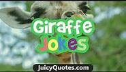 Funny Giraffe Jokes and Puns 2020 - These Giraffe Jokes will make you laugh!