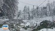 Snowstorm In Grass Valley, California Sparks Downed Trees, Power Lines