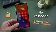 How to Get Into A Locked iPhone without the Password ( iOS 14 Supported) (iPhone 12 Supported)