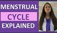 Menstrual Cycle Phases | Female Reproductive System | Follicular Luteal Proliferative Secretory