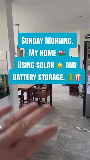 A quick snapshot using solar and battery storage in my home @Octopus Energy #solarpanels #sustainableliving