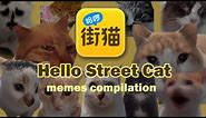 Hello Street Cat discord meme compilation!