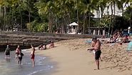 Monkey Seals are resting in Waikiki Beach | Be Le