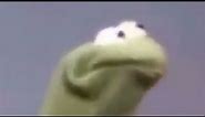 Oh my god Kermit falling off a roof Meme