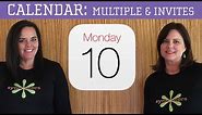 iPhone / iPad Calendar - Multiple Calendars & Invitations