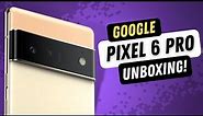 Google Pixel 6 Pro Unboxing | Sorta Sunny