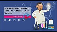 Comparison of Different Methods to Measure Cell Viability